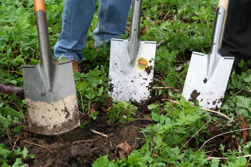 pepiniere-BAGNOLS EN FORET-min_work-lawn-flower-tool-green-backyard-1103633-pxhere.com